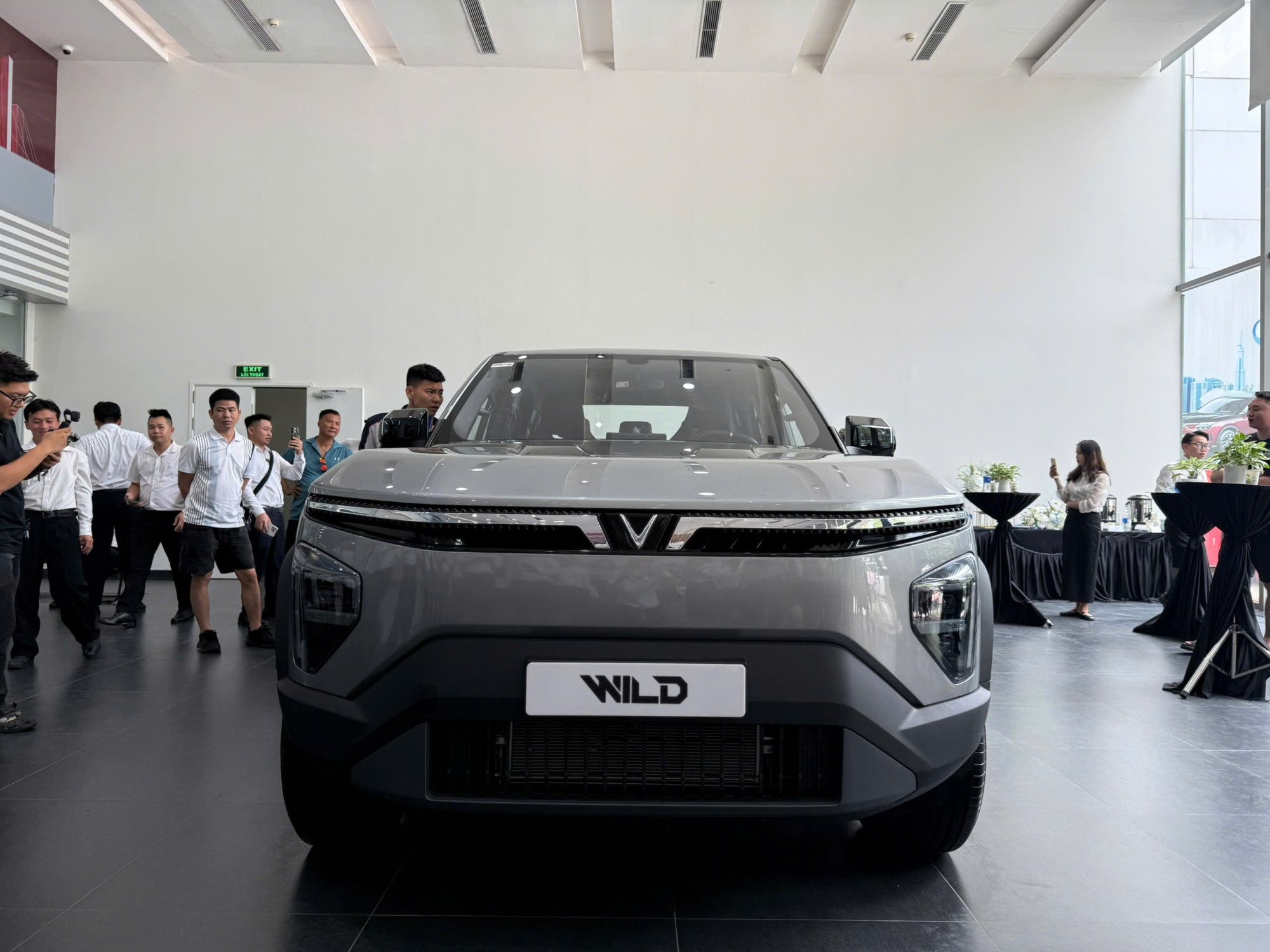 VF Wild