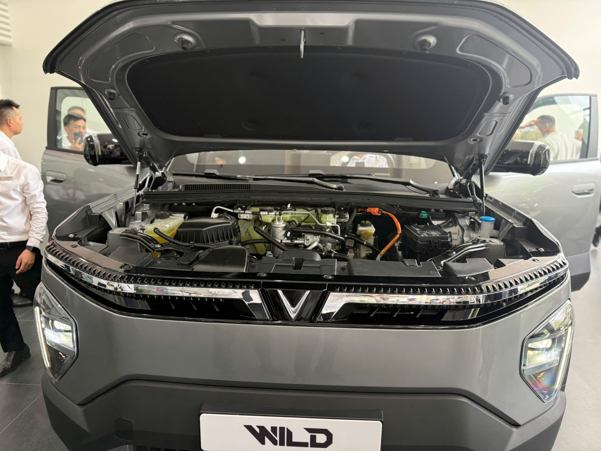 VF Wild thực tế