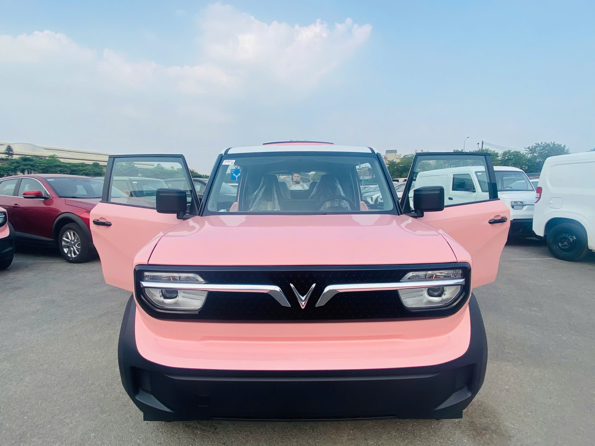 VF3 Màu Hồng